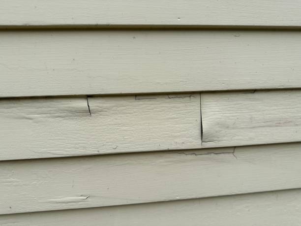 Same-Day Junk Removal Services in Woodville, TX